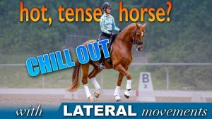 A rider in a helmet rides a chestnut horse in a dressage arena. Large text reads hot, tense horse? CHILL OUT with LATERAL movements—subscribe to our newsletter! Blurry green background sets the scene.
