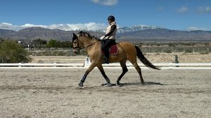 Rebekah Warbington exercising her horse.