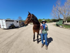 Hannah Finder posing with her horse while holding a selection of rosettes.