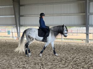 Lynda Burch exercising her horse.