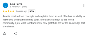 A Google review by Lisa Harris with 5 stars praises Amelia for clearly explaining concepts and sharing valuable knowledge through the Sitting Trot Challenge; Lisa expresses her gratitude.