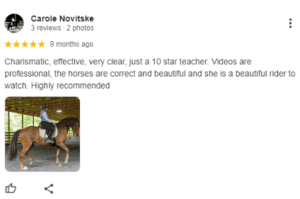 A review by Carole Novitske praising a horse riding teacher, especially for their guidance during the Sitting Trot Challenge. Below is a photo of a person riding a brown horse in an indoor arena with a wooden roof.