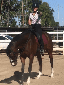A smiling person in a helmet and riding gear sits on a brown horse with white markings, pointing ahead at the outdoor arena—capturing the excitement of Riding Bootcamp: a 5 Day 2024 event. Cars, trees, and power lines fill the background.