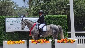A rider in formal equestrian attire and helmet sits on a gray horse, wearing a red ribbon, in front of a hedge and sign for the 5 Day Riding Bootcamp 2024. The scene is decorated with vibrant orange and yellow flowers.