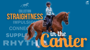 A rider in a helmet and floral shirt canters on a chestnut horse. Text reads: “STRAIGHTNESS in the Canter”—ideal for perfecting horse straightness in canter—plus faded words: “COLLECTION, IMPULSION, CONNECTION, SUPPLENESS, RHYTHM” on a blue background.