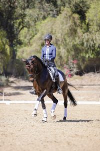 A person in a navy blue riding outfit and helmet is riding a dark brown horse with white leg wraps in an outdoor arena, surrounded by trees and sunlight—perfect for building a positive rider mindset.