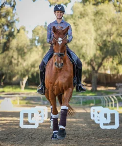 A person wearing a helmet and patterned shirt rides a brown horse with white markings on its face and legs. In the 2024 arena, white markers outline the sandy space, where training scale principles guide their practice amid leafy trees.