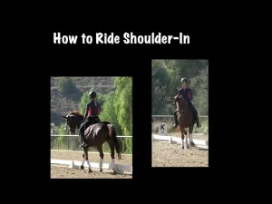Two photos show a person wearing a helmet and riding a horse in an outdoor arena, demonstrating the shoulder-in dressage movement. Text above reads How to Ride Shoulder-In on a black background—perfect for horse riding enthusiasts.