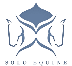 Stylized blue graphic of two symmetrical horse heads facing outward, forming an abstract central shape. Below, the text reads SOLO EQUINE in capital letters—perfect for promoting your 2024 Riding Bootcamp.