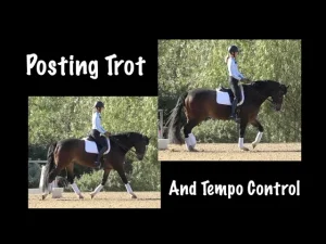 Two photos show a person riding a dark brown horse in an outdoor arena, demonstrating posting and how to regulate tempo at the trot. The rider wears a helmet and equestrian attire. Text reads Posting Trot And Tempo Control.