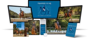 Rider improving dressage basics with a horse in the arena with a free masterclass
