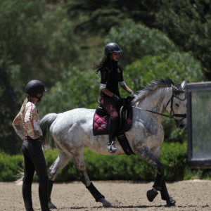 A person participates in a 2024 Training Scale Masterclass, riding a dapple gray horse in an outdoor arena. Both rider and observer wear helmets, with lush greenery providing a scenic backdrop.