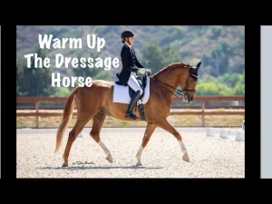 A rider in formal attire warms up a dressage horse, practicing trot canter transitions in an arena with trees and hills behind. Text on the image reads: Warm Up The Dressage Horse.