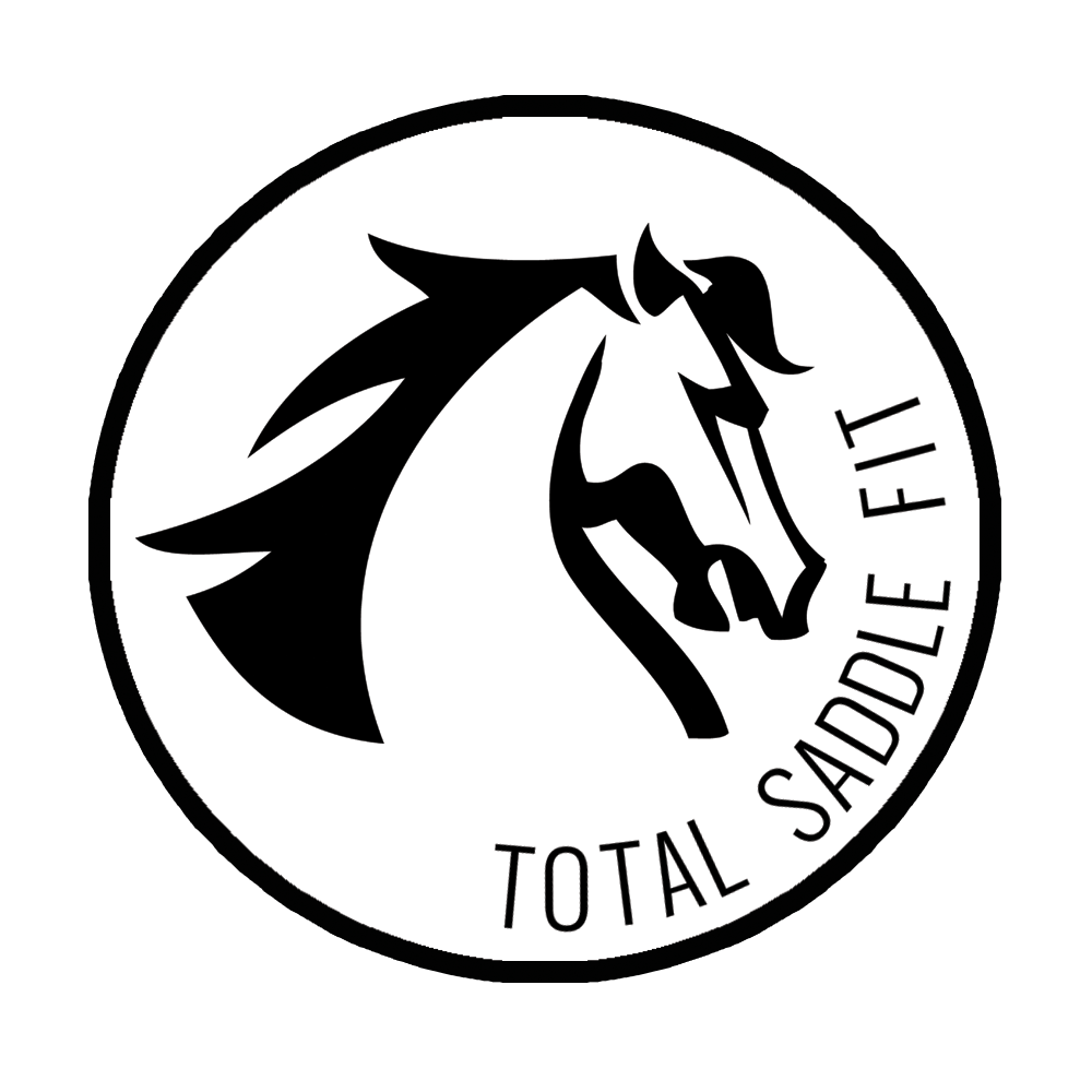 Black and white logo of a stylized horse head inside a circle, with the words TOTAL SADDLE FIT written along the lower right curve—perfect for your 2024 Riding Bootcamp branding.