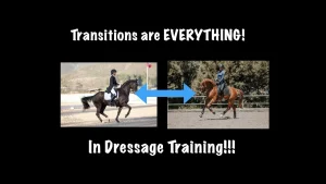 Transitions are everything in dressage