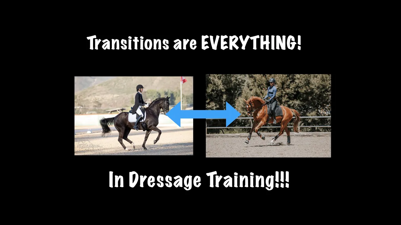 Transitions are everything in dressage