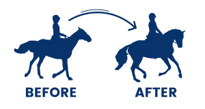 before and after of dressage lessons
