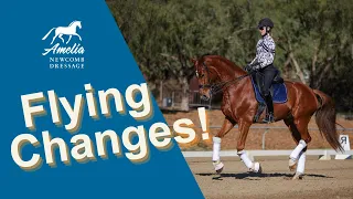 flying changes