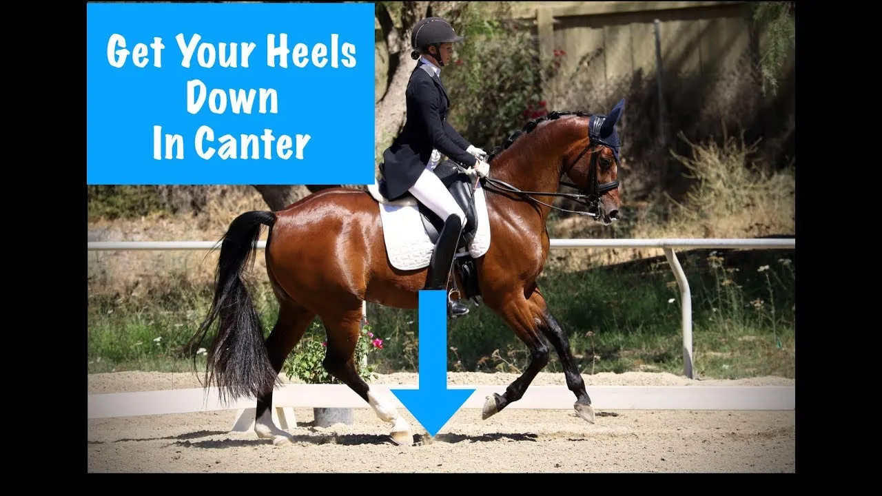 get your heels down in canter