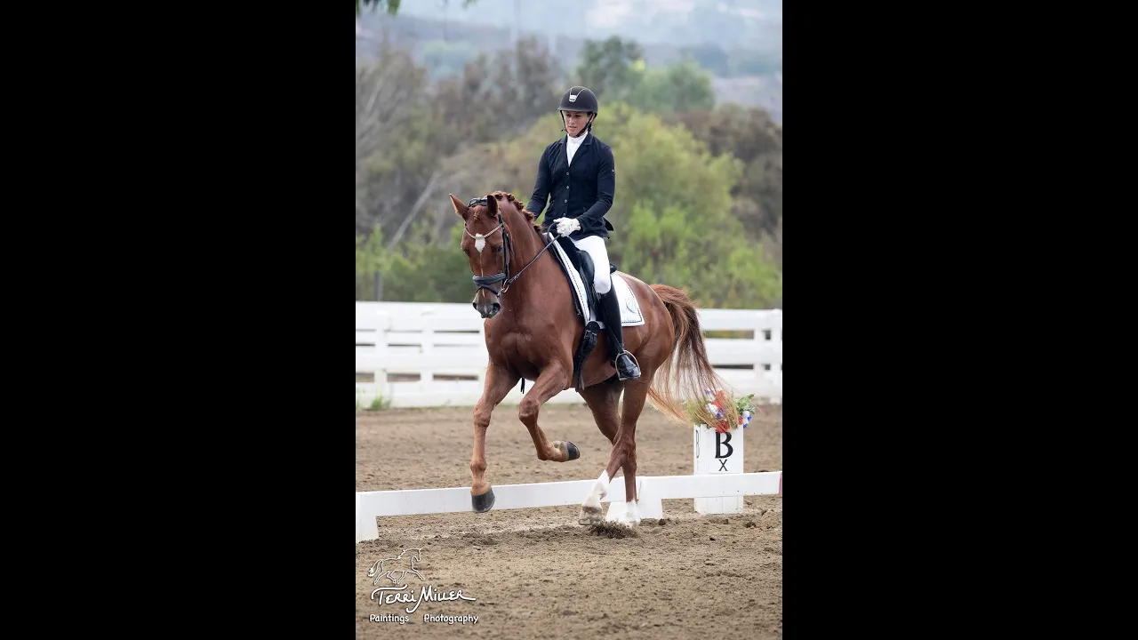 Amelia Newcomb riding Kensington in the FEI 6 year old test