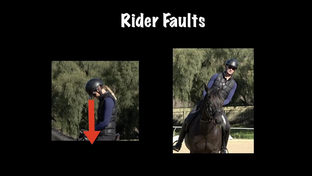 rider faults