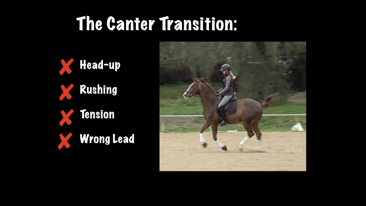 the canter transition