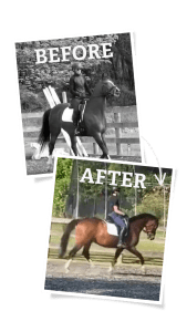 Two photos show a rider on a horse. The top, black-and-white image labeled BEFORE shows the horse walking. The bottom, color image labeled AFTER captures progress from the 30 Days to Round program, with the horse trotting in improved posture.