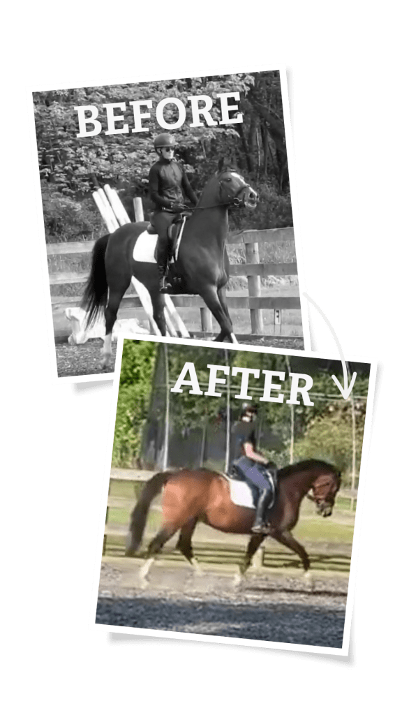 Two photos show a rider on a horse. The top, black-and-white image labeled BEFORE shows the horse walking. The bottom, color image labeled AFTER captures progress from the 30 Days to Round program, with the horse trotting in improved posture.