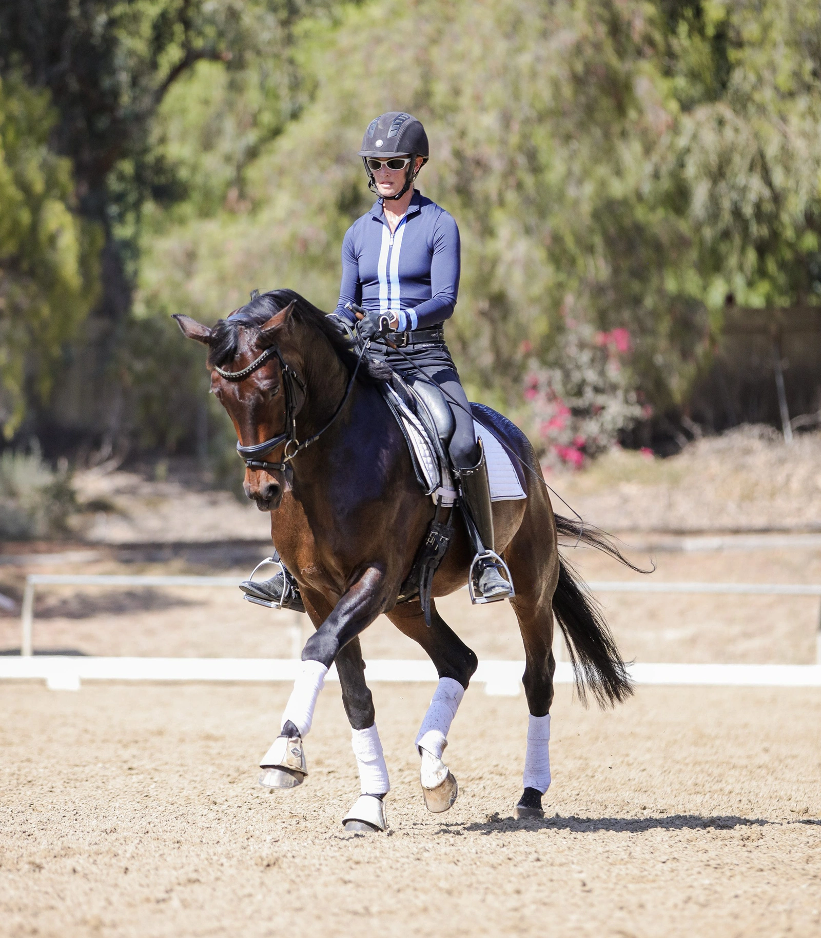 Dressage Basics Amelia Newcomb Dressage Dressage Basics Amelia Newcomb Dressage
