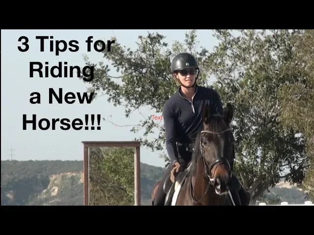 tips for riding a new horse