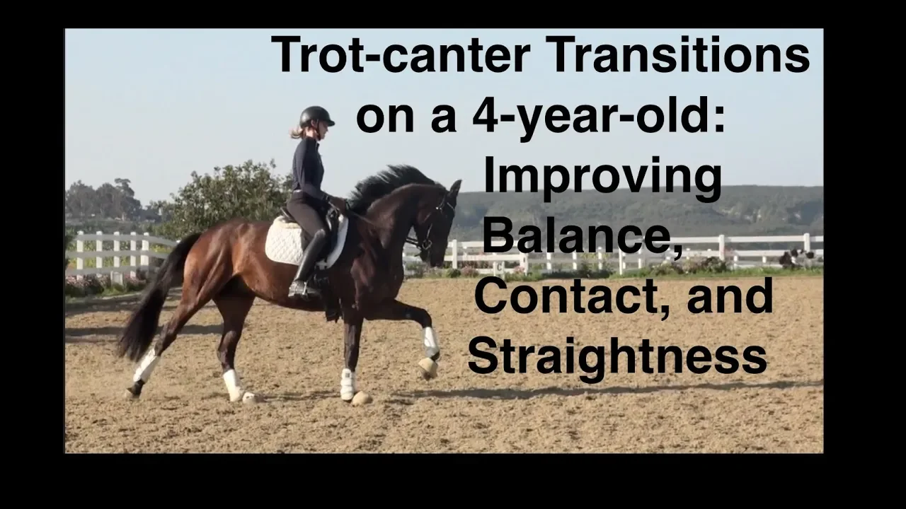 trot canter transitions