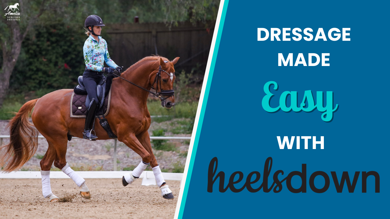 Dressage made easy