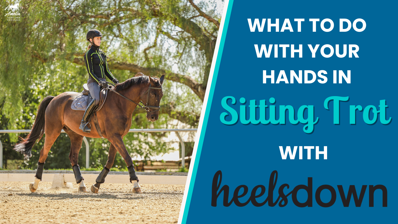 What to do with your hands in sitting trot