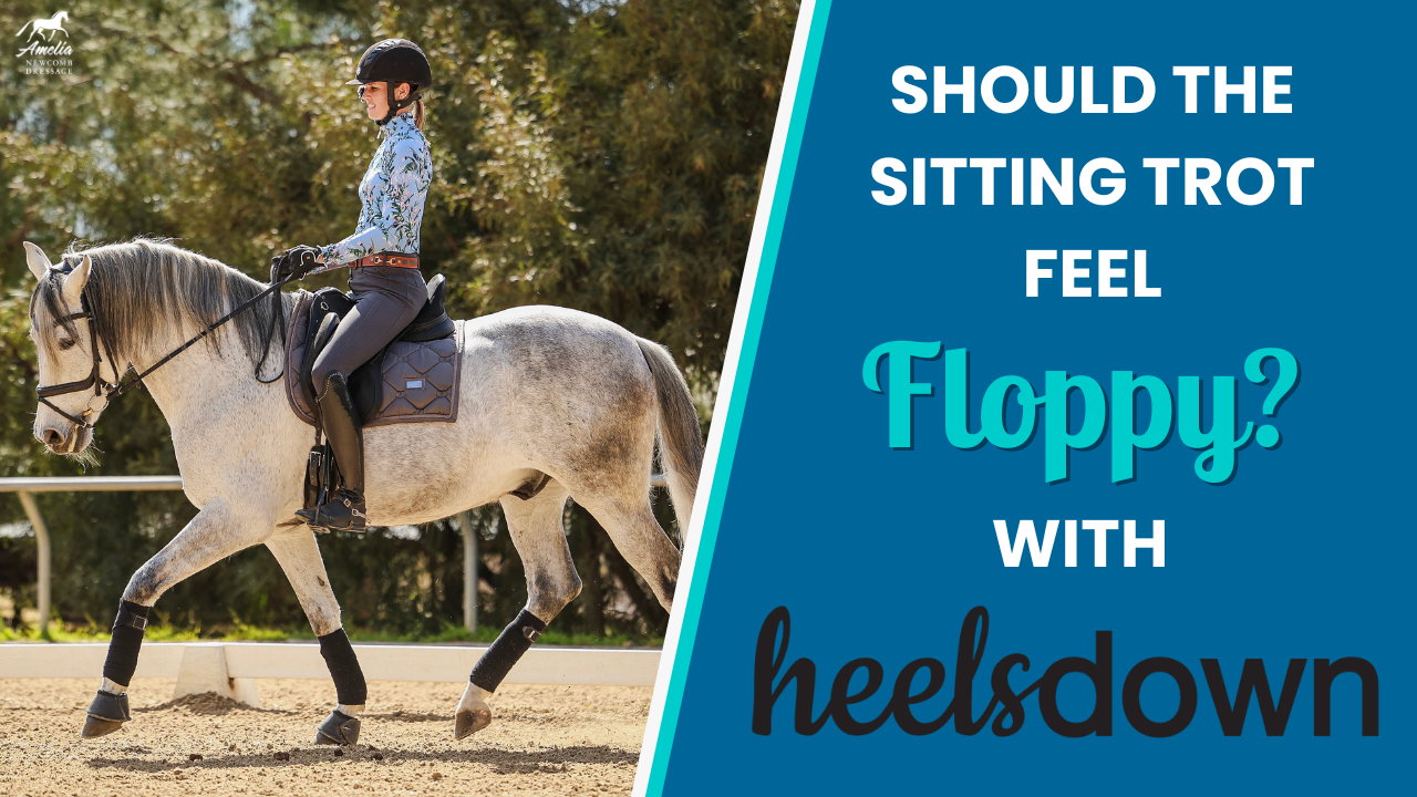 Should sitting trot feel floppy