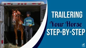 A person in riding gear leads a calm horse out of a trailer. Next to them, the text reads: “Trailering Your Horse Step-by-Step” on a blue background, highlighting how to teach horse loading with confidence.