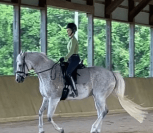 A person wearing a helmet and green shirt practices groundwork while riding a gray horse inside an indoor arena, with large windows revealing green trees outside.