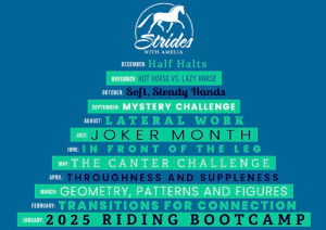 Amelia Newcomb dressage training schedule and lesson plan