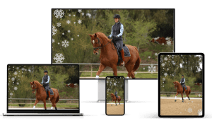Dressage rider training a bay horse in an outdoor arena on multiple platforms and a tablet