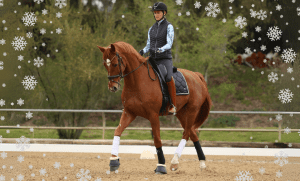 Amelia, dressed in equestrian gear, rides a chestnut horse in an outdoor arena amidst digitally added snowflakes—a picturesque scene perfect for winter riding, with greenery and a fence in the background.