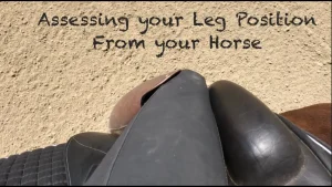 Assessing your Leg Position, from on top of your Horse