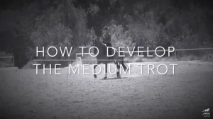 How to Develop the Medium Trot