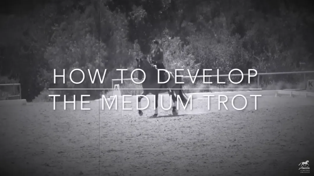 How to Develop the Medium Trot