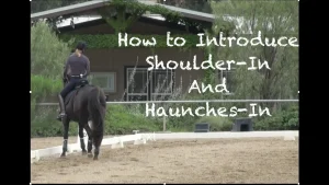 How to Introduce Shoulder-In and Haunches-in