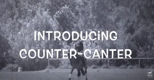 How to Introduce the Counter Canter