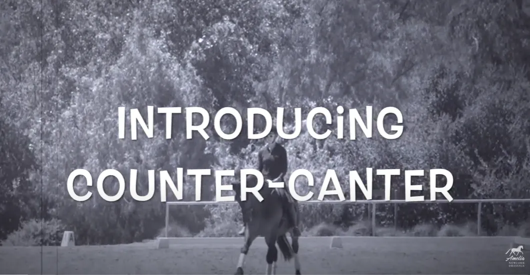 How to Introduce the Counter Canter