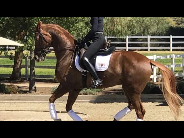 Ride the Perfect Corner