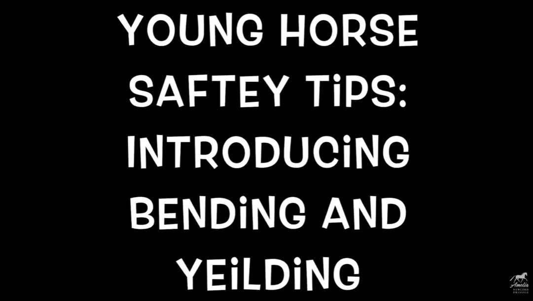 Safety Tips for a Young Horse: Bending and Yielding