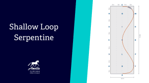 A diagram showing a Shallow Loop Serpentine dressage pattern in an arena, highlighted as one of the top 10 exercises. An orange line marks the serpentine path with labeled points. Text on the left reads Shallow Loop Serpentine.