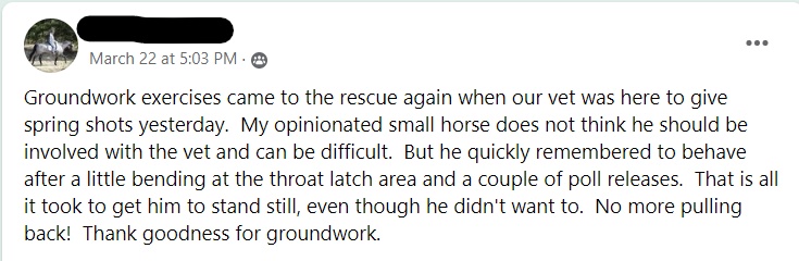 A Facebook post describes how groundwork exercises helped manage a difficult small horse during a vet visit for spring shots, making him stand still after some specific techniques.