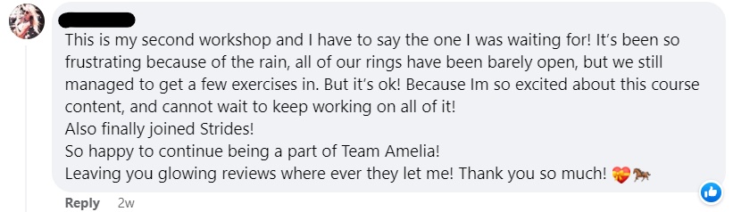 A Facebook comment where a user expresses excitement about their second workshop, mentions rain causing delays, shares enthusiasm for course content, celebrates joining Strides, and thanks Team Amelia with heart and horse emojis.